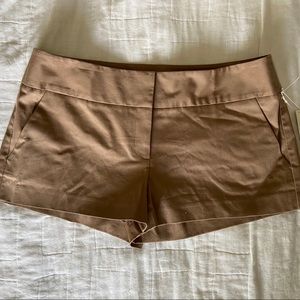 HINGE- Khaki Shorts  Size 10   NEW